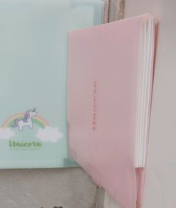 Document File Folder