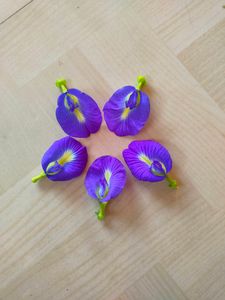 Butterfly / Aprajita Seeds