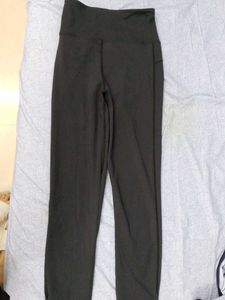 Sports Tights