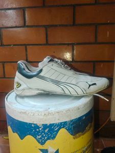 puma ferrari sf future cat shoes