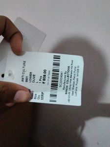 Anti Culture Olive Lower