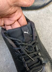 Puma Imported Luxury Shoes 👟