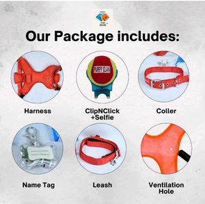 Dog Harness