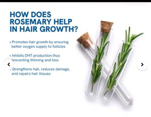 Sealed- Bebodywise Hair Growth Serum Roll On