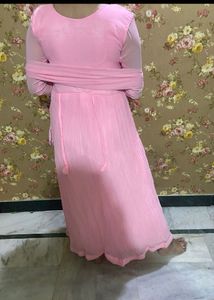 Pink Embellished Saree