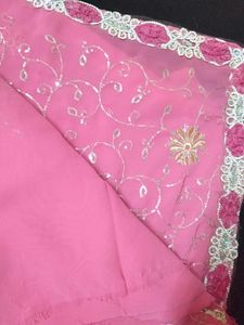 A Beautiful Bollywood Saree