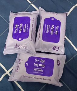 2 Packets Pure Soft Wet Wipes