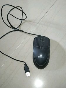 New Mouse