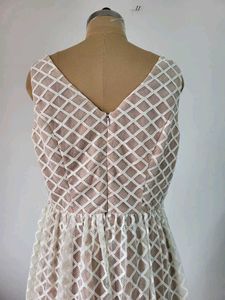 Lace Overlay Fit &amp; Flare Dress