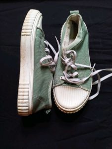 Olive Green Canvas
