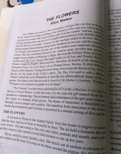 BA English 6th Semester Textbook