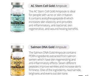 Stayve Dermawhite Ampoule Serum &amp; Foundation Set