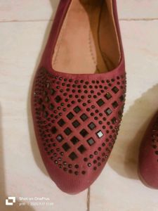 Elegant Maroon Bellies