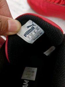 Puma Ferrari Theme Sneakers With Box