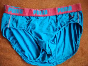 Puma Teal Briefs