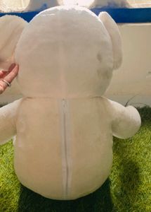 Taddy Bear Soft Toy