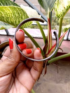 Silver Bangle Bracelet And Earring set