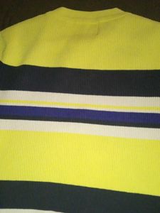 Polo crop top in winter 💗,cute multi colour cro