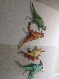 4 different Types Of Dinosaurs
