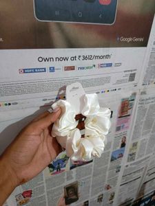 2 Crunchy 1 Hair Bow Clip