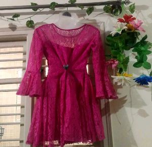 Pink Lace Fit &amp; Flare Dress