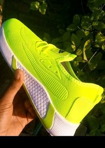 Stylish Green Walking Shoe For Men