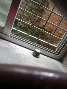 Jbl Speaker