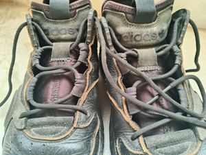 Adidas Streetball Sneakers