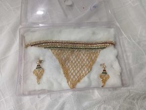 Elegant Necklace &amp; Earring Set