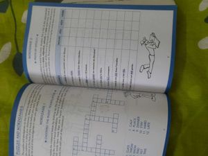 Collins French Dictionary 📃