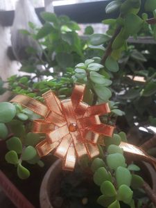 💥 New Beautiful Rakhi💥