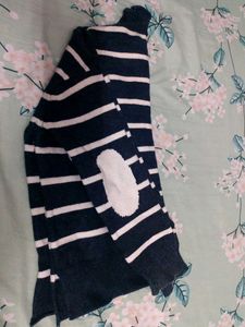 Striped Turtleneck Sweater