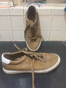 Casual Brown Shoes