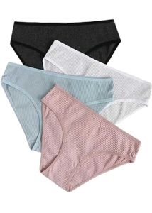 Ribbed Panties - Multi Pack