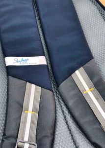 Skybags Backpack