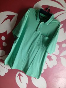 Plain Polo Green Tshirts
