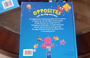 Opposites Lift the Flap Book