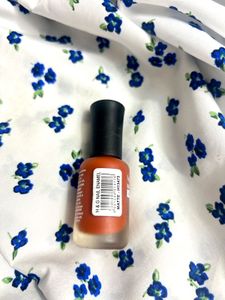Combo of Nail enamel &amp; plum lipstick✨