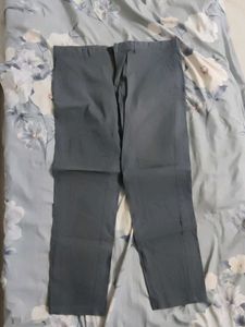 Premium Cotton Pant