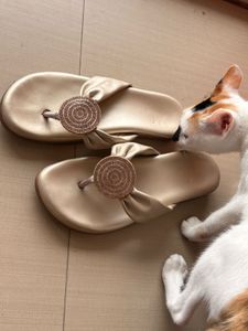 Elegant Gold Sandals