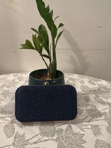 New