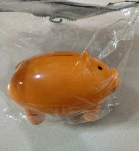 Piggy Bank/Coin Bank