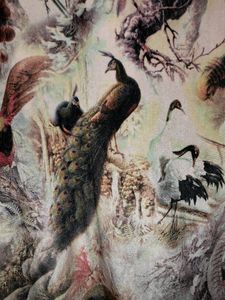 Velvet Body con Dress