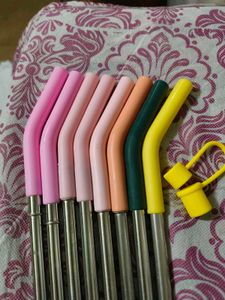 House Of Quirk Stainless Steel Straw With Cap