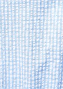 Light Blue Checked Calf Length Casual Women Slim F
