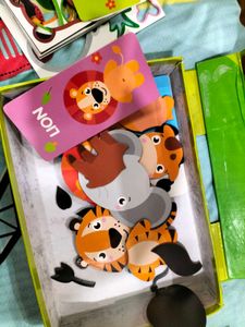 Magnetic Box With Animal Theme
