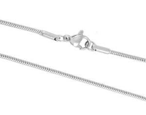 TwO Silver Snake Chain Necklace