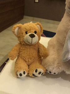 Cute Teddy Bear Trio