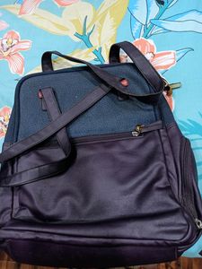 Baggit Handbag With Hidden Pocket For Bottle
