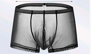 Sheer Mesh Boxer Briefs
